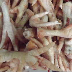 圖片 1