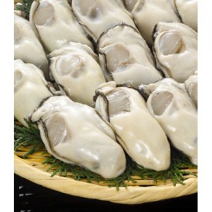 日本廣島蠔（500g）