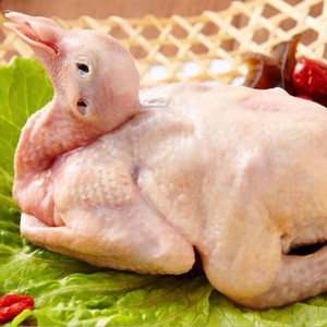 冰鮮乳鴿
