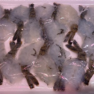 刺身開邊虎蝦   