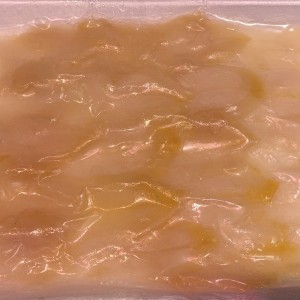 刺身馬刀貝